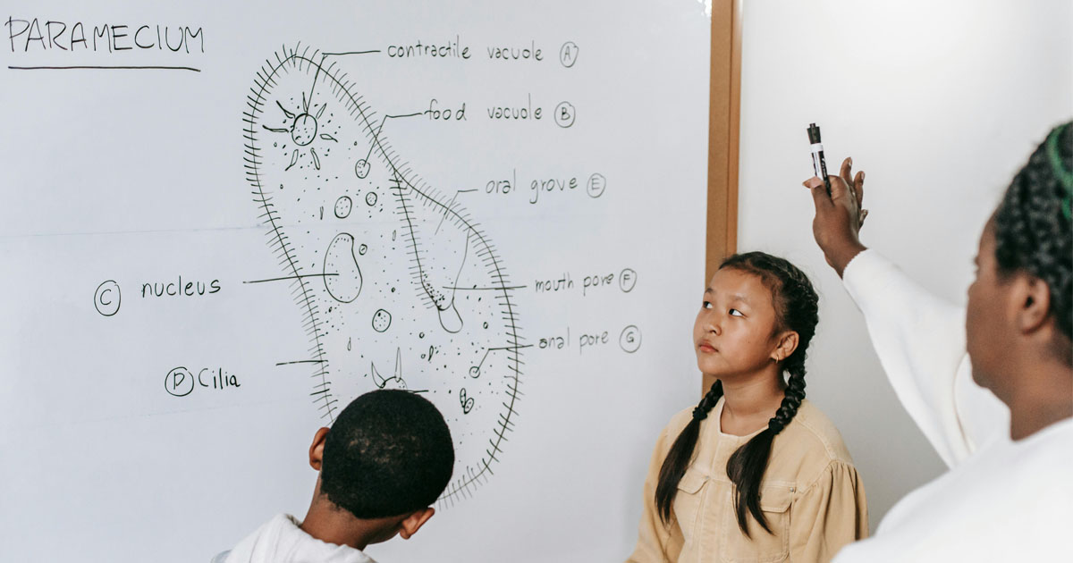 Indian Biology tutor for UK students